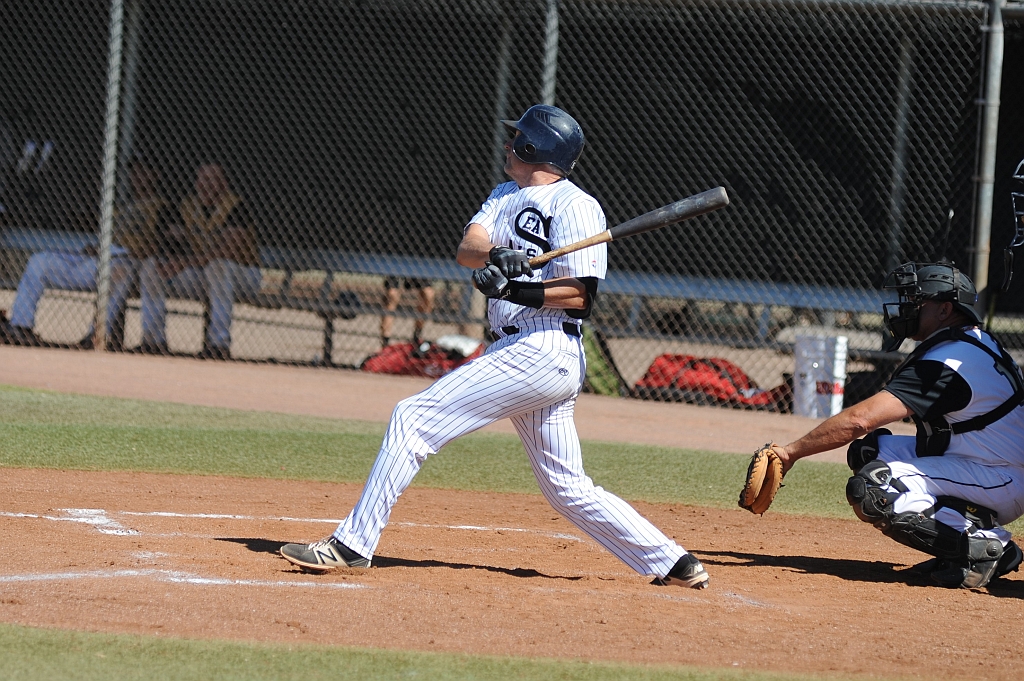 Seals_2017-10-12 (570).JPG - (c)2010 DeVetter